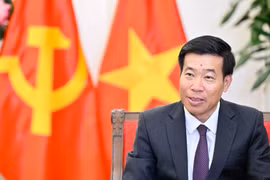 El viceministro de Relaciones Exteriores Nguyen Manh Cuong. (Foto: VNA)