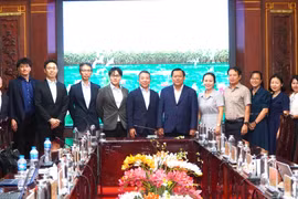 Provincia vietnamita coopera con socios japoneses en desarrollo de hidrógeno verde. (Foto: VNA)