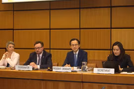 Embajador Do Hung Viet lidera diálogos con grupos regionales y OIEA en Viena. Prepara 11ª Conferencia de Revisión del TNP que se celebrará en abril de 2026. (Foto: VNA)