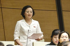 La viceprimera ministra de Vietnam, Pham Thi Thanh Tra, habla en la sesión. (Foto: VNA)