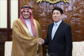 El presidente de Vietnam, Luong Cuong, recibe al embajador de Arabia Saudita, Mohammed Ismaeil A. Dahlwy. (Foto: VNA)