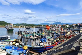 Provincia de Quang Ninh avanza en la lucha contra la pesca ilegal (Foto: VNA)