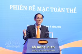 El miembro del Buró Político y ministro de Relaciones Exteriores, Le Hoai Trung. (Foto: VNA)
