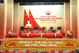 Ha Tinh traza ruta de desarrollo acelerado en su XX Asamblea partidista. (Foto: VNA)