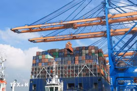 Carga de contenedores en un buque de 200,000 DWT en el puerto internacional de Gemalink, provincia de Ba Ria - Vung Tau. (Foto: VNA)