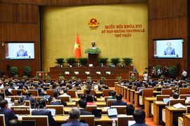 Inauguran primera reunión extraordinaria de XVI Legislatura de Asamblea Nacional de Vietnam (Foto: VNA)
