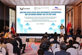 Encuentro empresarial entre Vietnam y República checa en Hanoi. (Foto: VNA)
