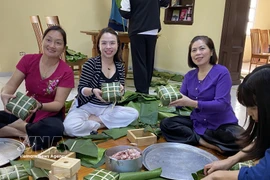 “Primavera de la Patria 2026” en Cuba refuerza la cohesión comunitaria entre vietnamitas (Foto: VNA)