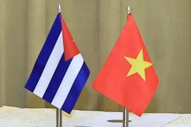 Foto de ilustración (Foto: VNA)