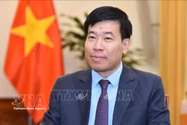 El viceministro de Relaciones Exteriores Nguyen Manh Cuong (Foto: VNA)