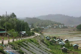 La comuna de Mang But, en la provincia centrovietnamita de Quang Ngai. (Foto: VNA)