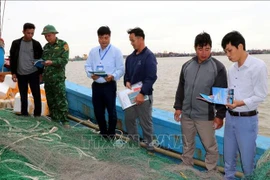 Ninh Binh intensifica lucha contra pesca ilegal. (Foto: VNA)