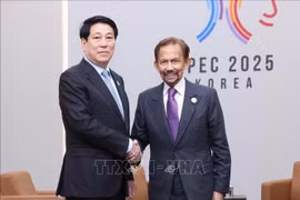 Sultán de Brunéi realizará una visita de Estado a Vietnam