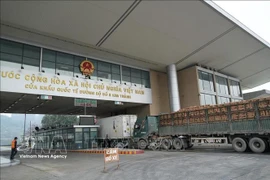 Mercancías despachadas de aduana cruzan el Puesto Fronterizo Internacional Kim Thanh - Lao Cai. (Foto: VNA)