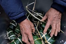 Elaboración de Banh Chung, una tradición cultural del pueblo vietnamita durante el Tet