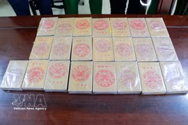 La policía de la provincia centrovietnamita de Nghe An incauta 22 ladrillos de heroína. (Foto: VNA)