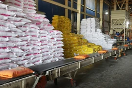Vietnam supera 7 millones de toneladas de arroz exportado pese a caída de precios. Foto: VNA
