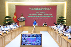 La viceprimera ministra Pham Thi Thanh Tra lidera el balance semestral de la campaña nacional de 500 días para la búsqueda y recuperación de los soldados caídos. (Foto: VNA)