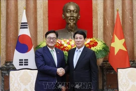 El presidente de Vietnam, Luong Cuong, (derecha) y el titular de la Asamblea Nacional surcoreana, Woo Won Shik. (Foto: VNA)