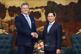 El viceprimer ministro de Vietnam Bui Thanh Son recibe al comisario de Comercio y Seguridad Económica de la Unión Europea, Maros Sefcovic. (Foto: VNA)