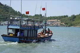 Embarcaciones pesqueras zarpan hacia alta mar. Foto: VNA