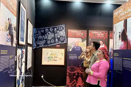 La exposición titulada “Sembrar lo verde en la cima de las nubes” (Foto: VNA)