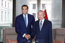 El secretario general del Partido Comunista de Vietnam, To Lam, y Saif Malik, director ejecutivo del banco Standard Chartered. (Foto: VNA)