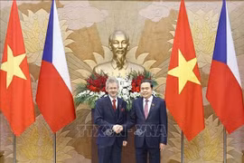 El presidente de la Asamblea Nacional de Vietnam, Tran Thanh Man, y el presidente del Senado de la República Checa, Milos Vystrcil. (Foto: VNA)