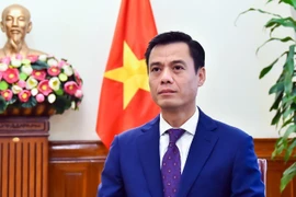 El viceministro de Relaciones Exteriores Dang Hoang Giang. (Foto: VNA)