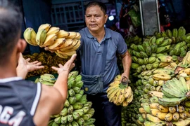 Foto ilustrativa (Fuente: Reuters)