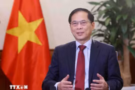 El viceprimer ministro de Vietnam Bui Thanh Son. (Foto: VNA)
