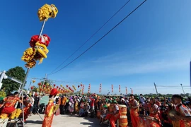 Danza de dragón en la ciudad de Can Tho en ocasión del Año Nuevo Lunar (Foto: VNA)