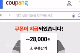 El portal coupang.com de Corea del Sur. (Foto: VNA)