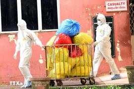 Foto de ilustración (Fuente: VNA)