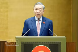 El secretario general del Partido Comunista y presidente de Vietnam, To Lam. (Foto: VNA)