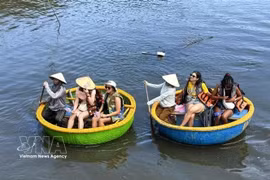 Los turistas disfrutan de paseos en bote cesta en el bosque de cocoteros (Foto: VNA) 