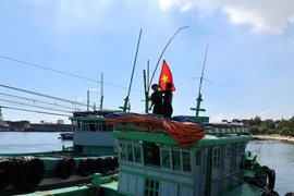 Intensifica Vietnam la cruzada contra la pesca ilegal. (Foto: VNA)