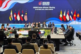 ASEAN revisa los preparativos para su 47.ª Cumbre (Foto: VNA)