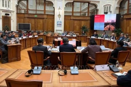 El viceprimer ministro de Vietnam Ho Duc Phoc en reunión con el vicegobernador del Banco Central de Rusia, Alexey Guznov. (Foto: VNA)