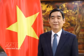 El embajador de Vietnam en Tailandia, Pham Viet Hung (Foto: VNA)