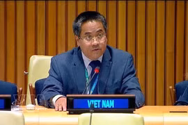 El ministro consejero Nguyen Hai Luu, representante permanente adjunto de Vietnam ante la ONU. (Foto: VNA)