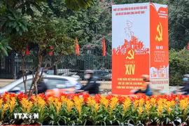 El XIV Congreso Nacional del Partido Comunista de Vietnam se celebra con éxito (Foto: VNA)