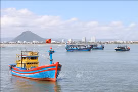 Khanh Hoa intensifica el control pesquero, la trazabilidad y el monitoreo de buques para acelerar el levantamiento de la “tarjeta amarilla” de la CE. (Foto: VNA)