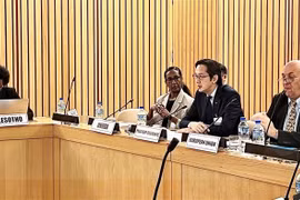 El embajador Do Hung Viet, jefe de la Misión Permanente de Vietnam ante la Organización de las Naciones Unidas (ONU), y presidente designado de la RevCon 11. (Foto: VNA)