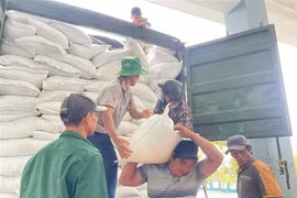 Arroz de ayuda es transportado a las localidades gravemente afectadas por las inundaciones. (Foto: VNA)
