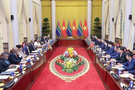 El presidente de Vietnam, Luong Cuong, sostiene conversaciones con su homólogo sudafricano, Matamela Cyril Ramaphosa. (Foto: VNA)