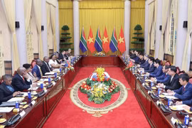 El presidente de Vietnam, Luong Cuong, sostiene conversaciones con su homólogo sudafricano, Matamela Cyril Ramaphosa. (Foto: VNA)