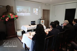 Representantes de ministros y sectores relativos de Vietnam también asisten al seminario en línea. (Foto: VNA)