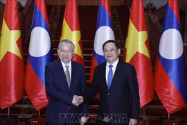 El secretario general del Partido Comunista de Vietnam (PCV), To Lam, (izquierda) se reúne con el primer ministro de Laos, Sonexay Siphandone. (Foto: VNA)