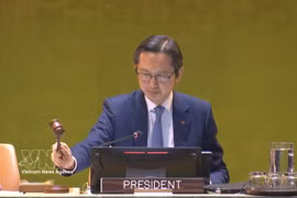 El embajador Do Hung Viet, jefe de la misión permanente de Vietnam ante la ONU. (Foto: VNA)